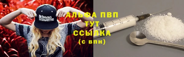 тгк Новокубанск