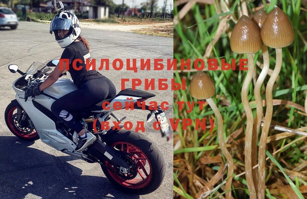 тгк Новокубанск