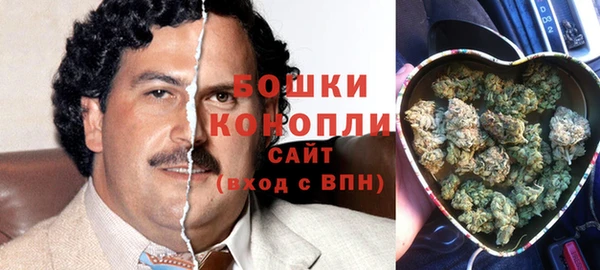 тгк Новокубанск