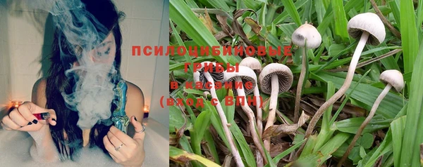 хмурый Новодвинск