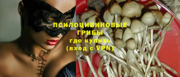 тгк Новокубанск