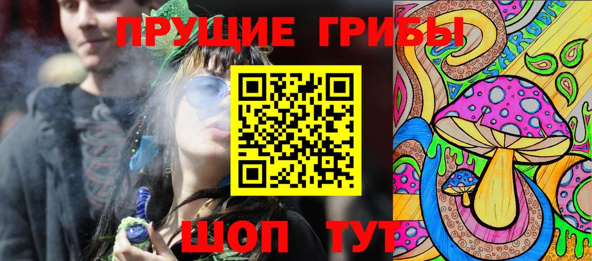 Сызрань  Псилоцибиновые грибы Psilocybe  Вход с VPN 