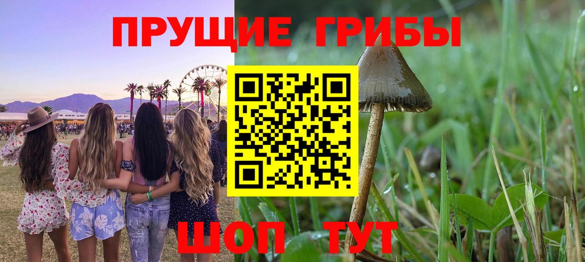Псилоцибиновые грибы Magic Shrooms Сызрань